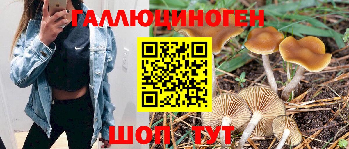 Галлюциногенные грибы мухоморы Заволжье